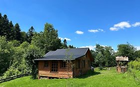 Nad Głuchym Potokiem